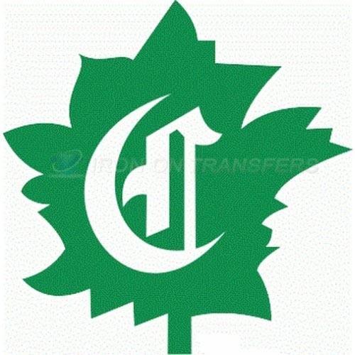 Montreal Canadiens Iron-on Stickers (Heat Transfers)NO.207